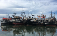 Grandes Unidades Oceânicas lançam primeira Lista Positiva de embarcações de pesca
