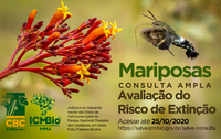 ICMBio abre consulta para avaliar conservação de mariposas