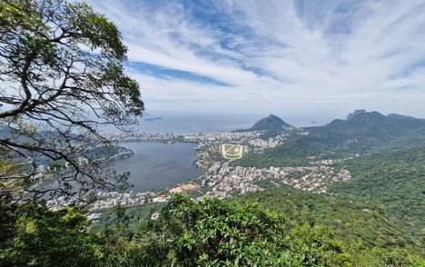 Vista da nova trilha - Foto: Leonardo Boquimpani de Freitas