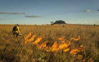 ICMBio realiza ações de prevenção a incêndios em mais dois parques nacionais e duas estações ecológicas