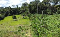 ICMBio visita áreas de Sistemas Agroflorestais na Reserva Extrativista Chico Mendes