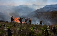 Incêndio florestal no Parque Nacional da Serra do Cipó é extinto após cinco dias de combate