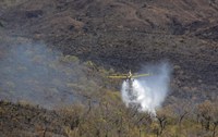 Incêndio no Parque Nacional da Chapada dos Veadeiros é controlado no dia do Cerrado