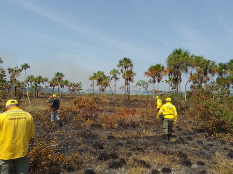 Foto: Bruno Campos/ICMBio