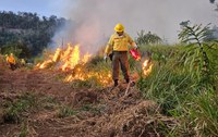 Incêndios florestais são evitados no Parque Nacional do Viruá, queimas prescritas foram a chave para prevenção