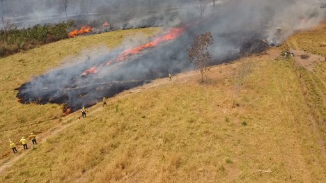 Foto: Divulgação ICMBio