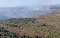 Instituto Chico Mendes e Força Nacional trabalham para evitar que fogo se alastre para áreas de campo no Parque Nacional do Pantanal Mato-grossense
