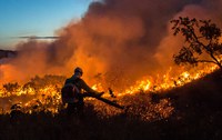 Instituto Chico Mendes lança sistema para monitoramento de áreas atingidas por incêndios em unidades de conservação federais