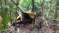 Operação combate crimes ambientais no Parna do Iguaçu