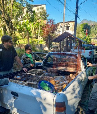 Foto: APA Petrópolis