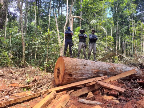 Foto: ICMBio Rondônia 