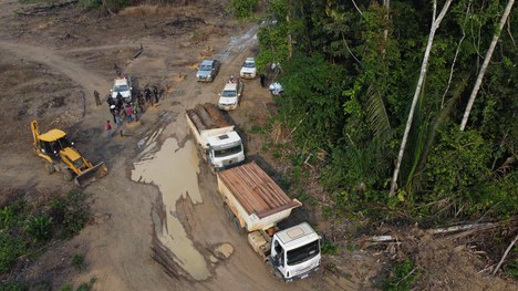 Foto: ICMBio Rondônia 