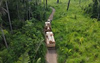 Operação Terra Protegida combate crimes ambientais em unidades de conservação federais de Rondônia