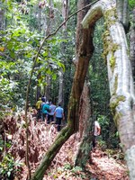 Parque do Descobrimento já conta com 22 condutores de visitantes