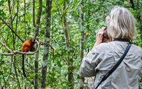 Parque do Mico, no Rio de Janeiro, recebe título de Reserva Particular do Patrimônio Natural