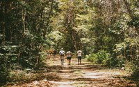 Parque Nacional do Descobrimento passa por revitalização para 2022