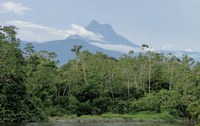 Parque Nacional do Pico da Neblina retoma o turismo em março