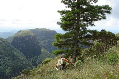 Parna Aparados da Serra - Foto: Acervo Parna Aparados da Serra