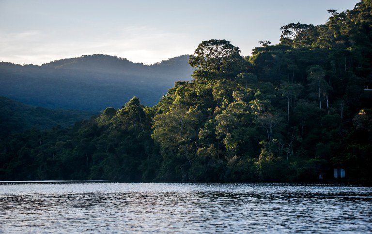 CAPA - Forest e Lagoon_Leonardo Merçon-1 SITE.jpg