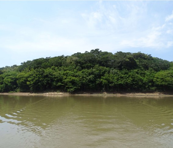 Imagem5-área doada na Resex do Lago Capanã GrandeSITE.jpg