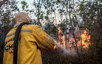 Saiba mais sobre o combate a incêndios florestais