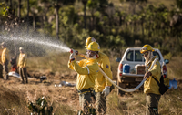 Técnica inovadora para prevenção de incêndios chega pela 1ª vez ao Pantanal