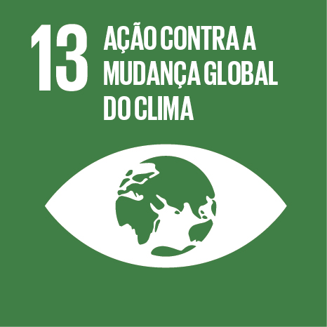 13 Ação contra a mudança global do clima