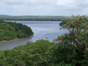 Acervo Flona Cabedelo/ICMBio