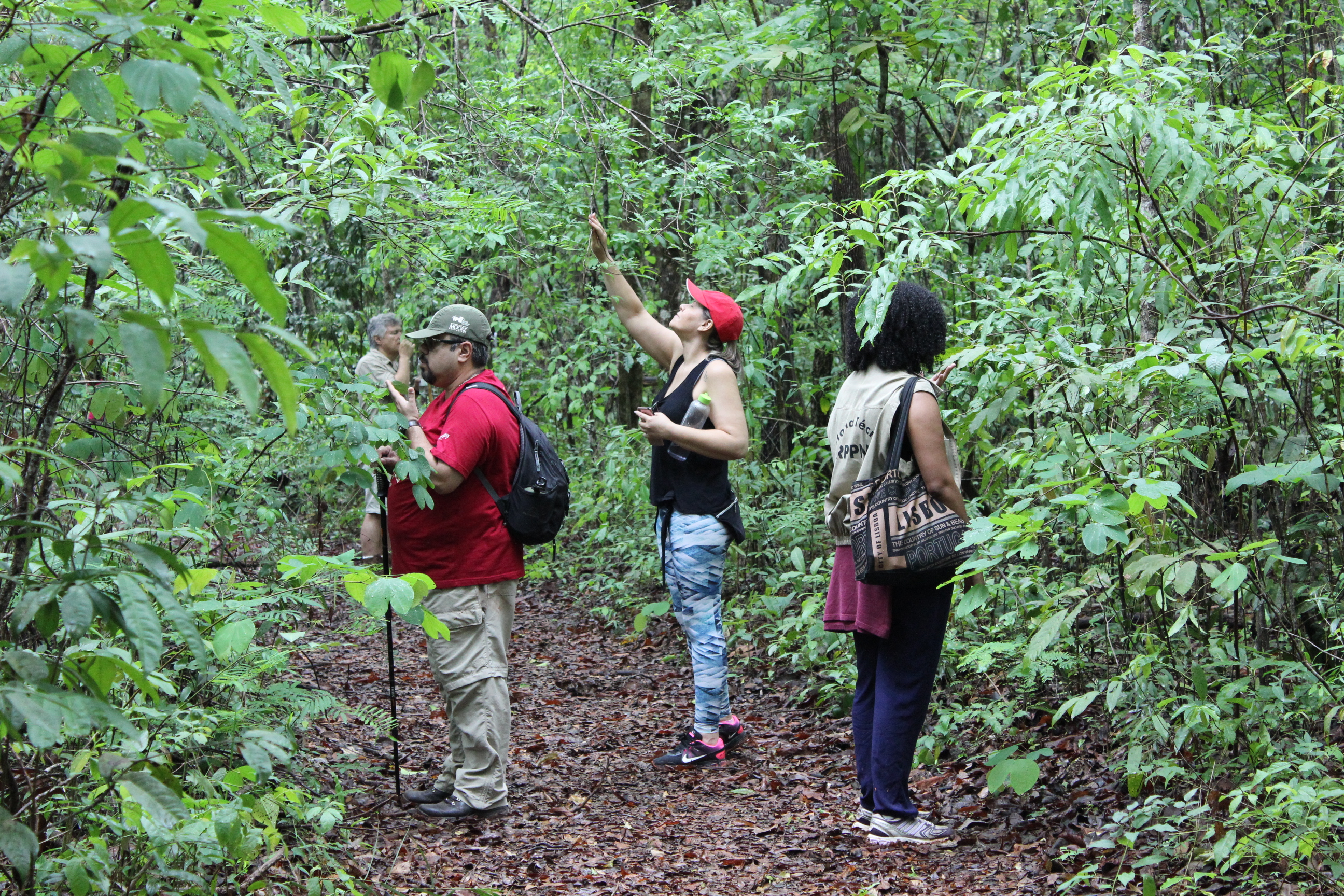 Banho De Floresta Parque Nacional de BrasíliaElaneRibeiro 93