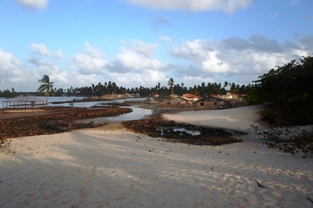 caçacueira1