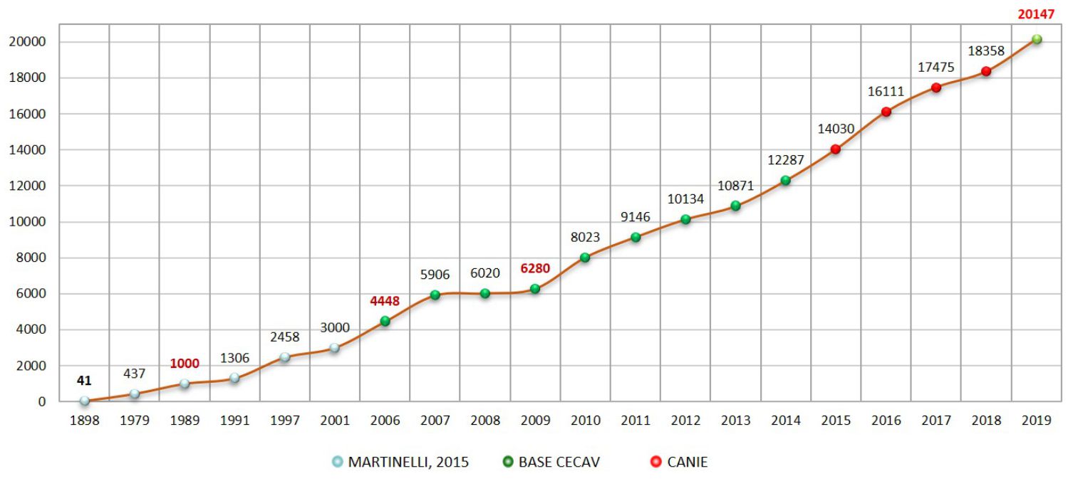 cecav grafico anuario 2019