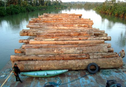 Agentes de fiscalização apreenderam madeiras ilegais que eram transportadas em balas (Foto: Arquivo Resex Verde para Sempre)