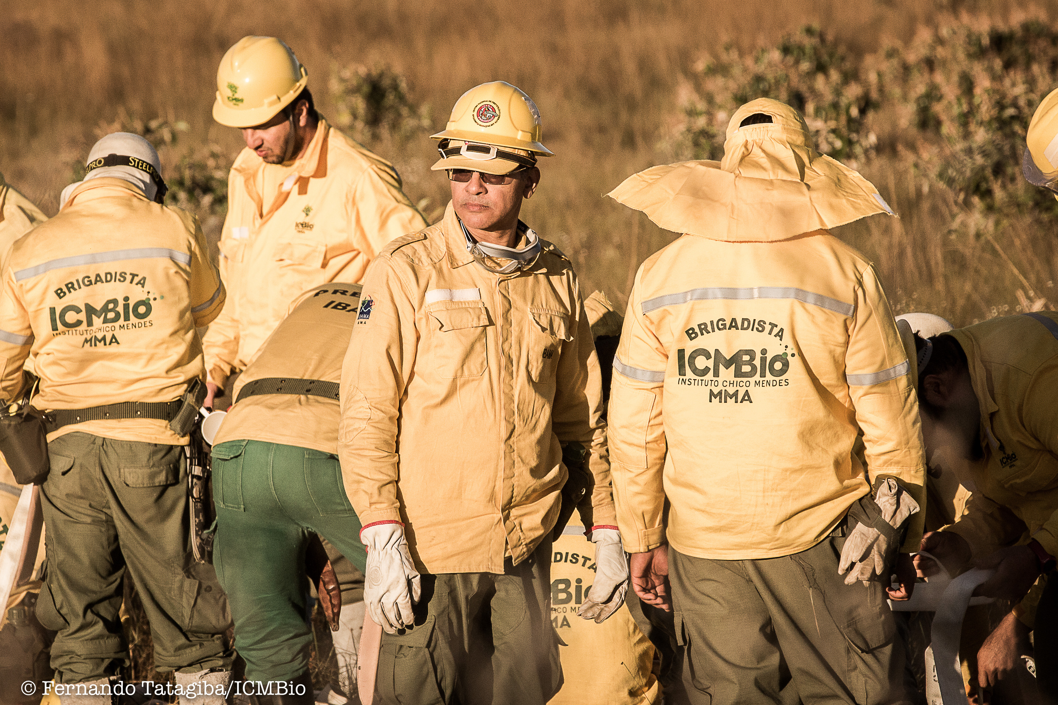 Brigada Florestal ICMBio