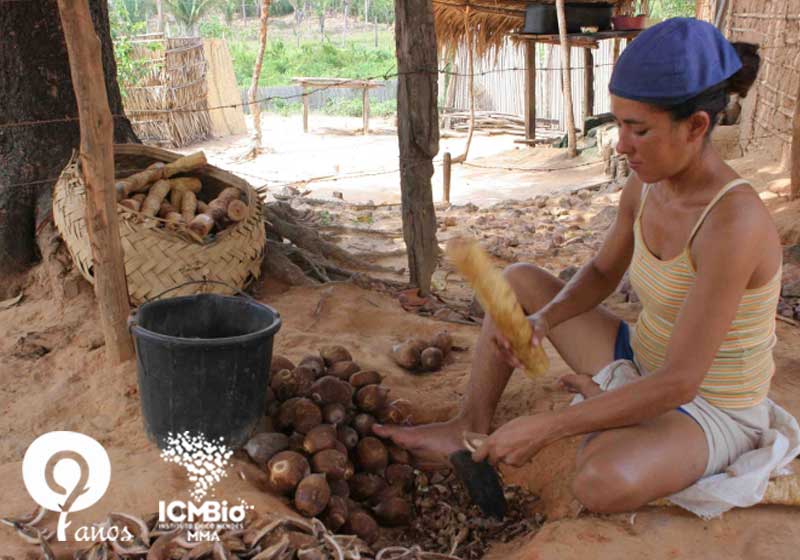 Quebradeira de coco babaçu em resex: CCDRU dá segurança jurídica (Foto: ICMBio)