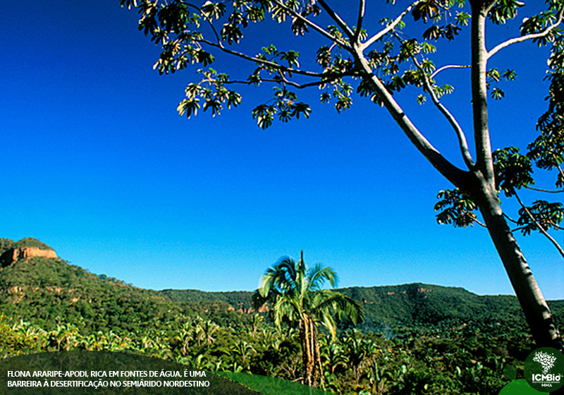 Foto: Arquivo ICMBio