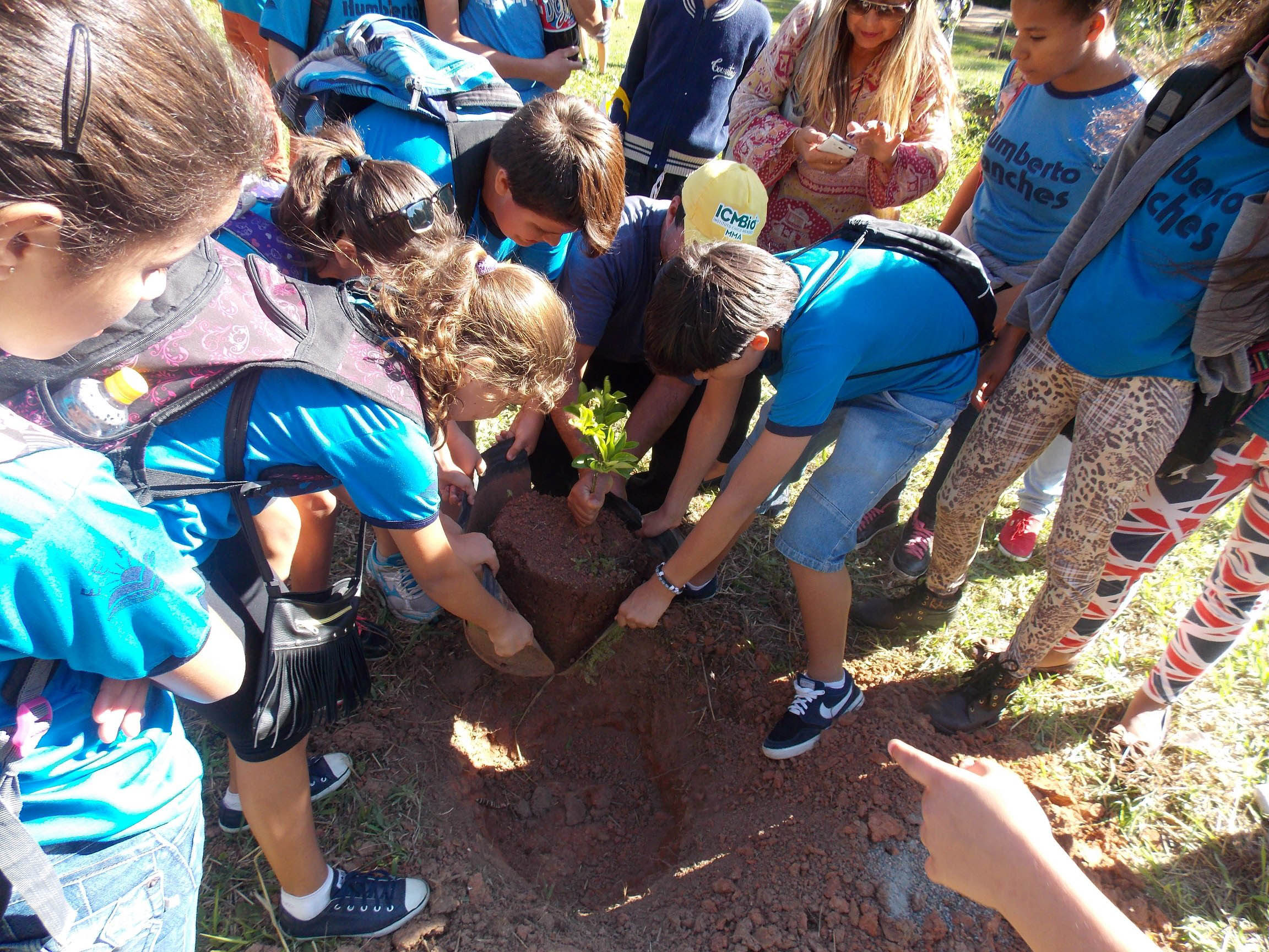 Plantio de muda no viveiro da flona (Foto: Marco Aurélio Correa)