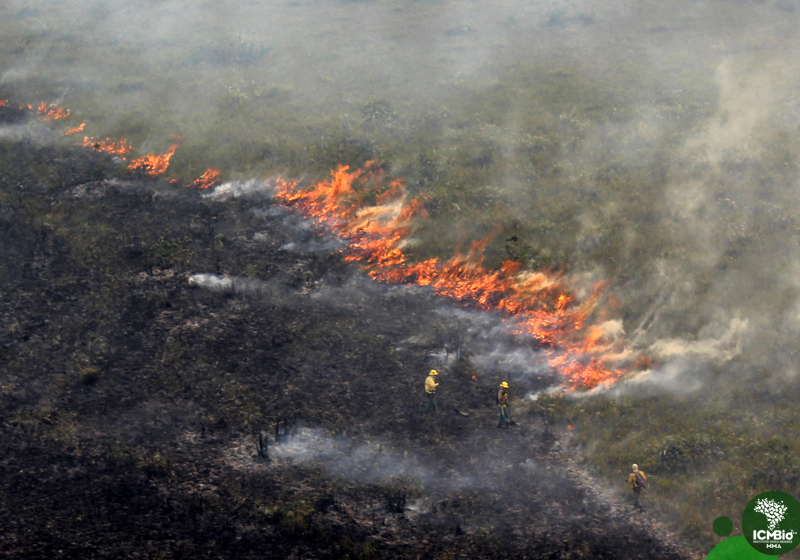 Incêndio florestal no Parque Nacional do Viurá