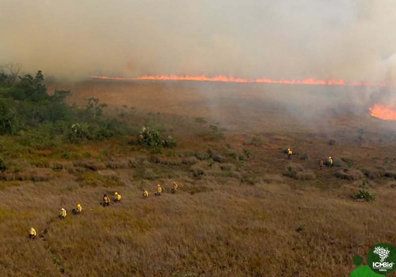 Incêndio florestal no Parque Nacional do Viurá