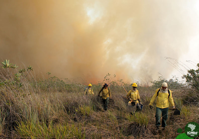 Combate a incêndio florestal no Parque Nacional do Viurá