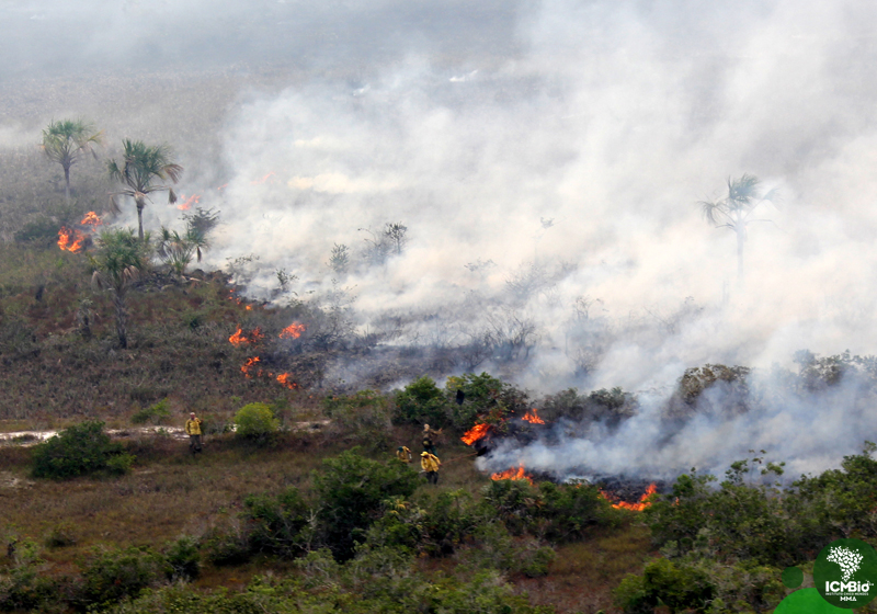 Combate a incêndio florestal no Parque Nacional do Viurá