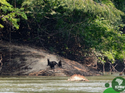 Foto: Arquivo ICMBio