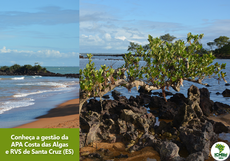 Área de Proteção Ambiental Costa das Algas e o Refúgio de Vida Silvestre de Santa Cruz