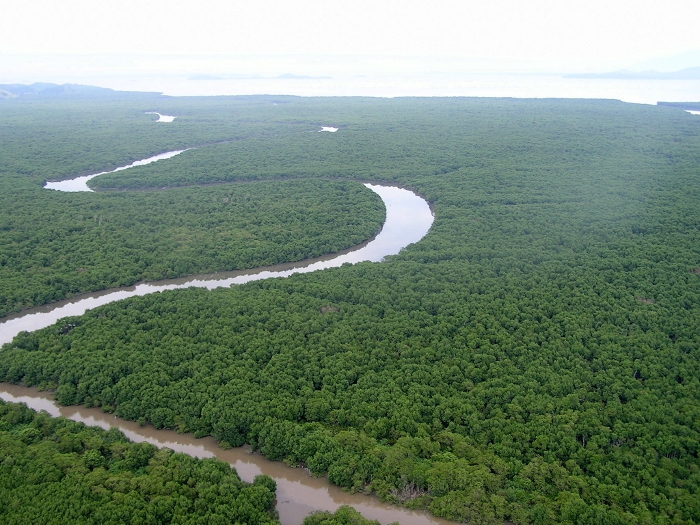 Esec da Guanabara2 Rio Guapimirim