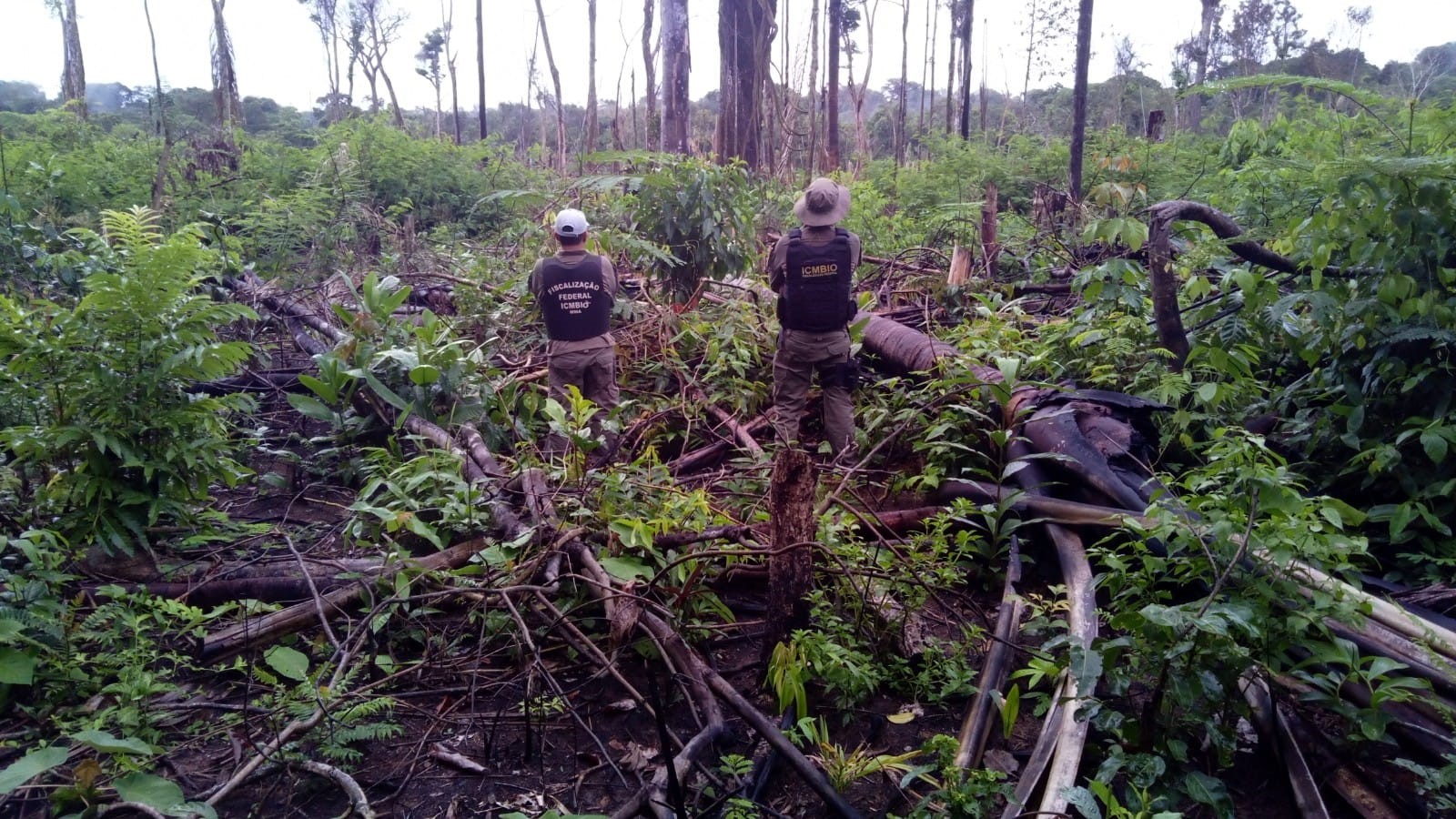 Morte de Chico Mendes (22/12/1988) abriu caminho para a questão ambiental –  Quimicos Unificados