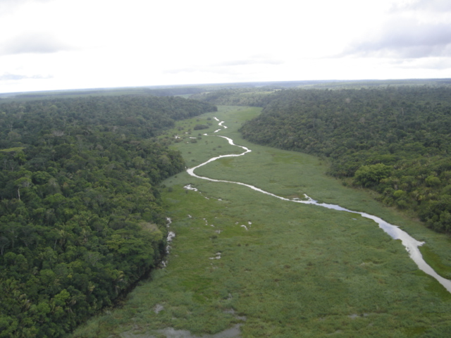 flona do rio preto