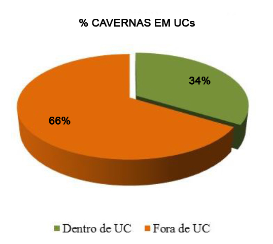 Gráfico 11