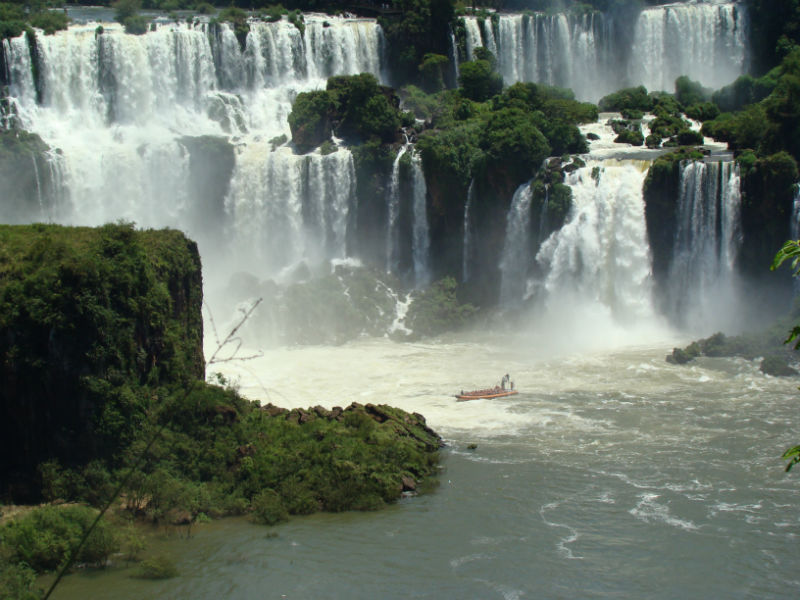 iguaçu dia da árvore.jpg