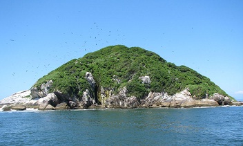 ilha dos currrais