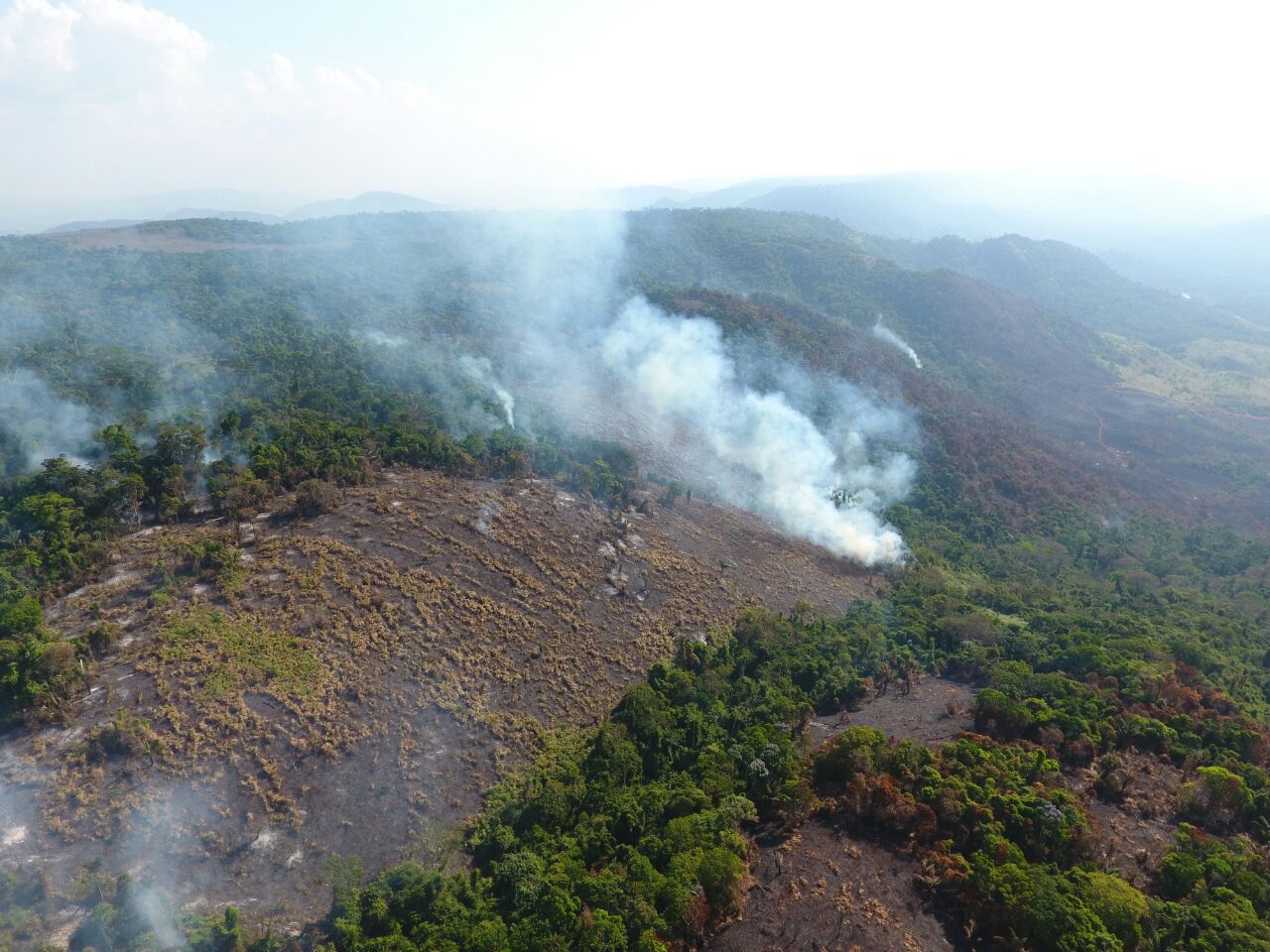 Parque Nacional dos Campos Feruginosos (Foto: Acervo ICMBio)