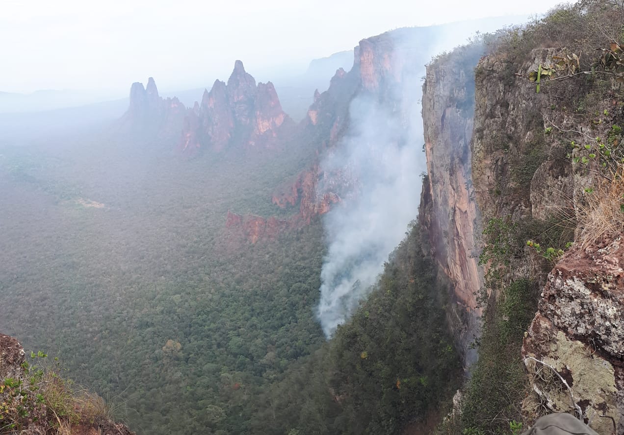 Incêndio no Parque Nacional da Chapada dos Guimarães dura cinco dias (Foto: Christian Berlinck)
